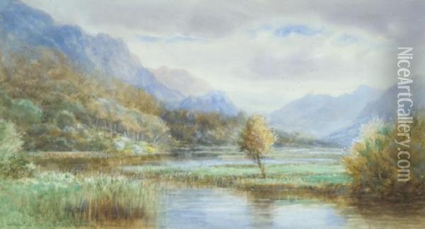 Salmon Pool From The Bridge Kylemore Connemara Oil Painting - Alexander Williams