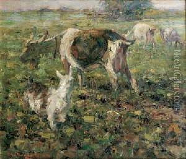 Ziegenherde Auf Der Weide. Oil Painting - Heinrich Johann Von Zugel