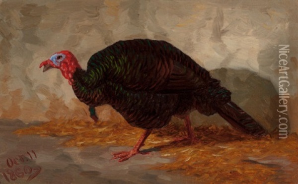 Turkey Oil Painting - Marcus A. Waterman