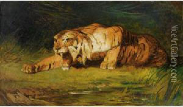 Tigre Pret A Bondir Oil Painting - Gustave Surand