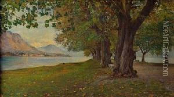 Veduta Del Lago Maggiore Oil Painting - Alfonso Muzii