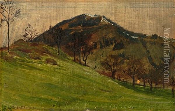 Paysage D'alpe Oil Painting - Charles L'Eplattenier