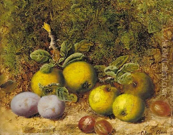 Apples, gooseberries and plums on a mossy bank Oil Painting - Oliver Clare