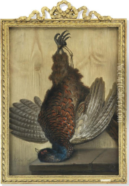 Hanging Game Birds, Including A Cock Pheasant, A Jay And Two Pheasants Oil Painting - Samuel Cotes