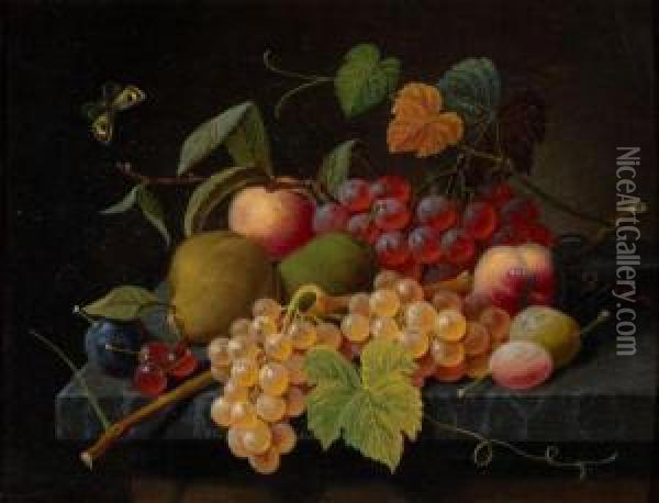 Fruit Still Life With Moth Oil Painting - Severin Roesen