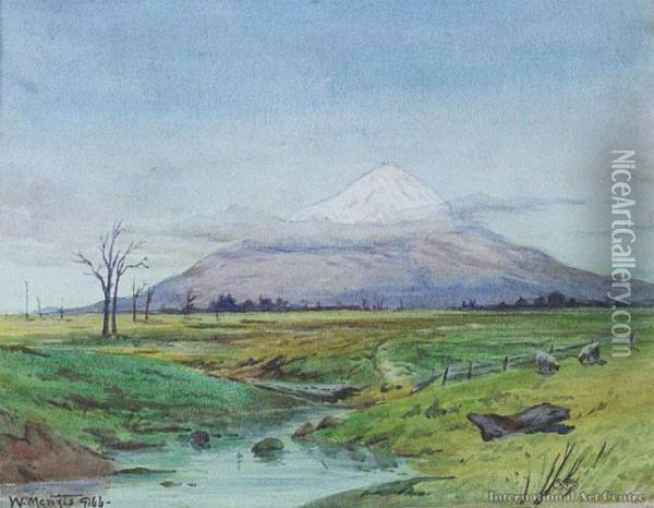 Mt Egmont Oil Painting - William Menzies Gibb