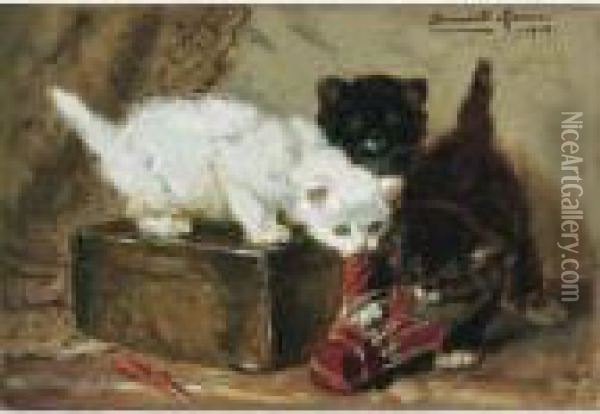 Kittens At Play Oil Painting - Henriette Ronner-Knip