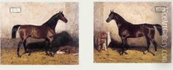 Chevaux A L'ecurie Avant La Course, Circa 1880 Oil Painting - Paul Le More