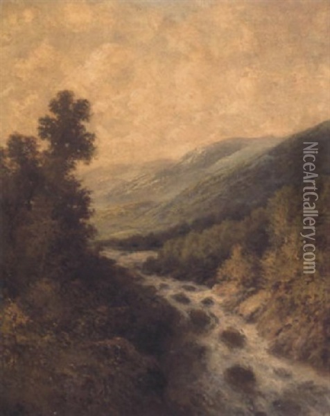 A River In Spate Oil Painting - Thomas Bailey Griffin