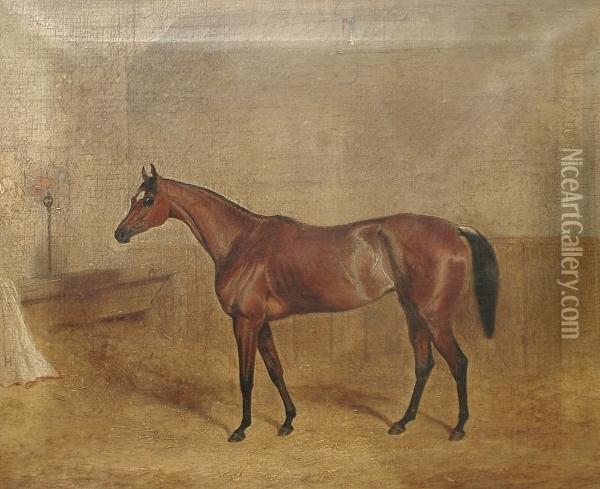 Portrait Of 'miami' In A Stable Oil Painting - John Frederick Herring Snr