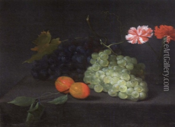 Nature Morte Aux Raisins Et A L'oillet Oil Painting - Jacob Fopsen van Es