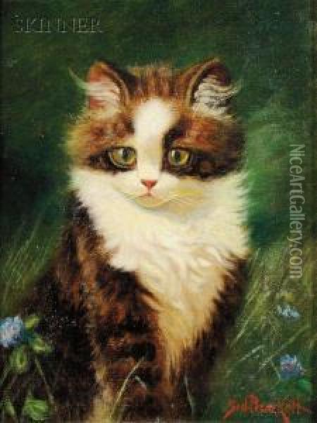 Kitten Oil Painting - Sydney Lawrence Brackett