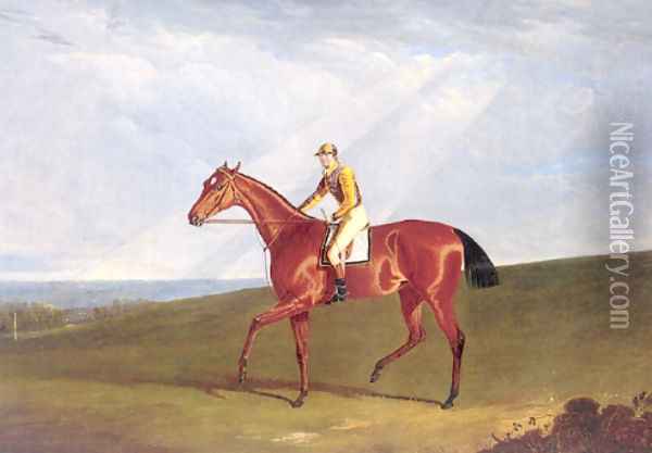 Ringlet With Jockey Up Oil Painting - John Frederick Herring Snr