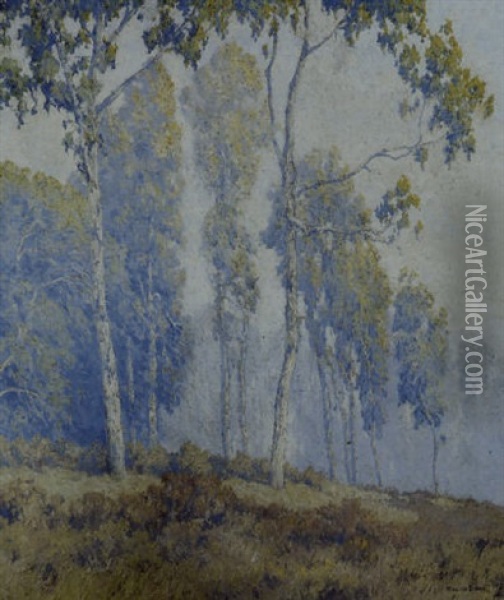 Eucalyptus Trees In The  Mist Oil Painting - Maurice Braun