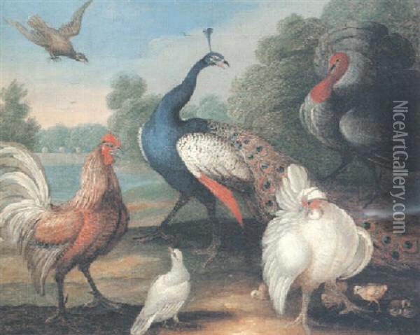 A Peacock And A Lavender Turkey With Other Fowl In A River Landscape Oil Painting - Marmaduke Cradock
