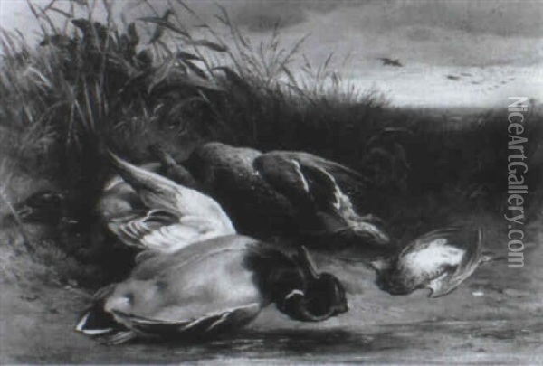 Drakes, A Mallard And A Snipe On A Riverbank Oil Painting - James Hardy Jr.