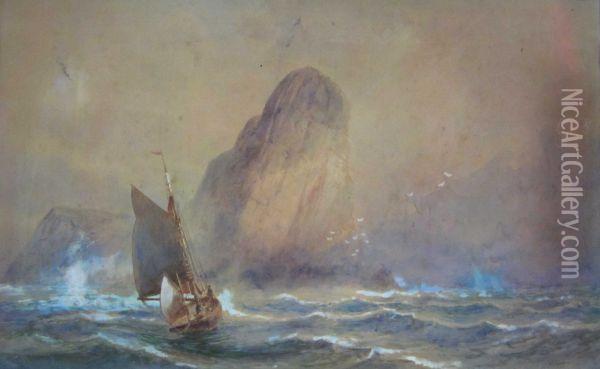 Coastal Scene With Rocky Outcrops Andseabirds Oil Painting - William Casley