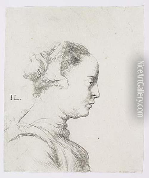Bust Of A Young Woman In Profile To The Right<</b> Oil Painting - Jan Lievens
