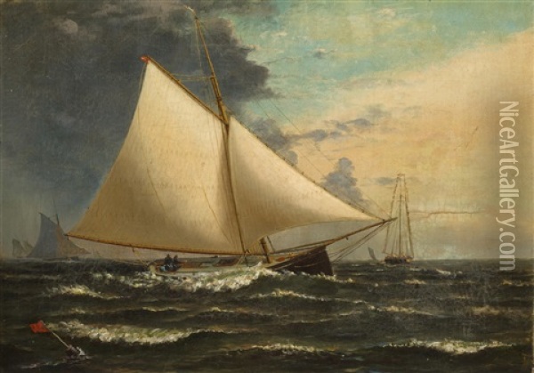 A Gaff Rigged Sloop Passing The Racing Mark Oil Painting - Archibald Cary Smith