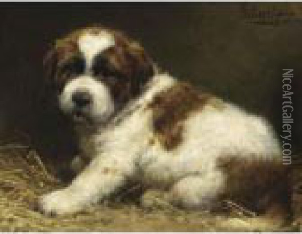 A Saint Bernard Puppy Oil Painting - Otto Eerelman