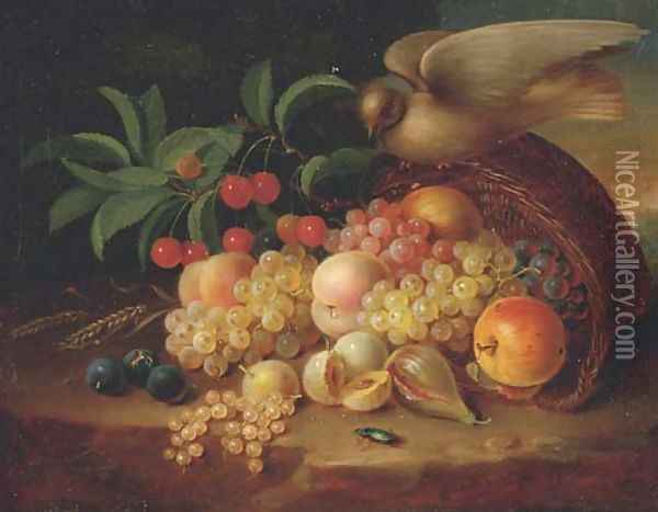 Peaches, cherries, grapes, an apple, plums and other fruit and a dove perched on a wicker basket Oil Painting - George Forster
