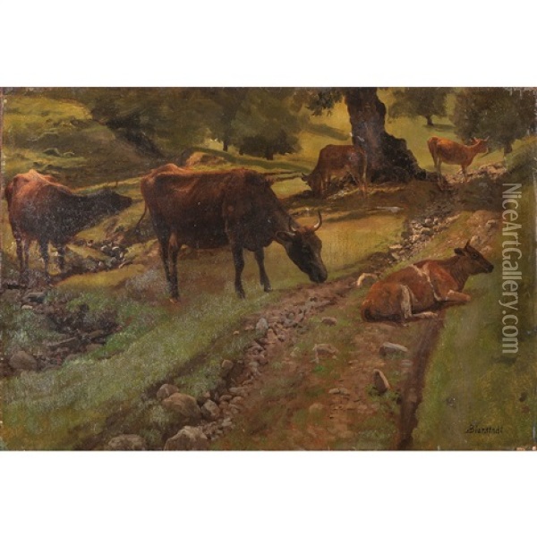 Cows Resting Oil Painting - Albert Bierstadt
