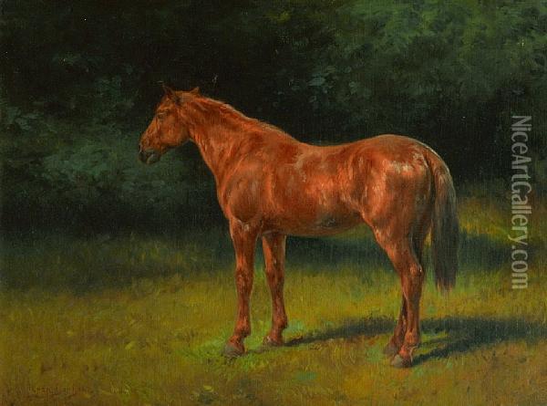 The Red Sorrel Oil Painting - Rosa Bonheur