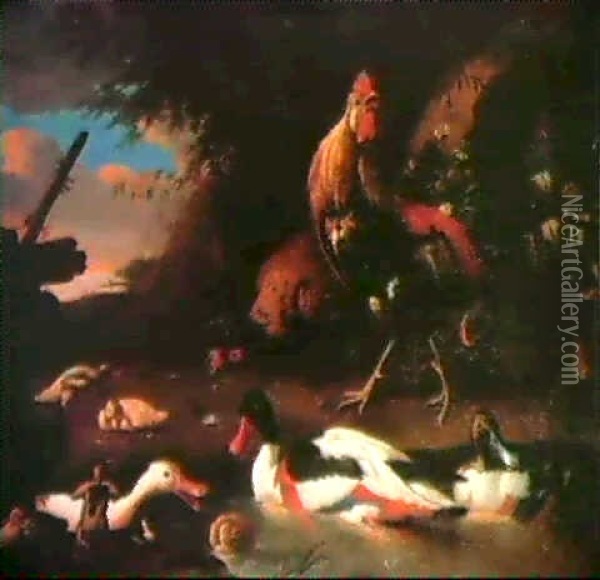Coq Et Canards Pres D'un Etang Oil Painting - Melchior de Hondecoeter