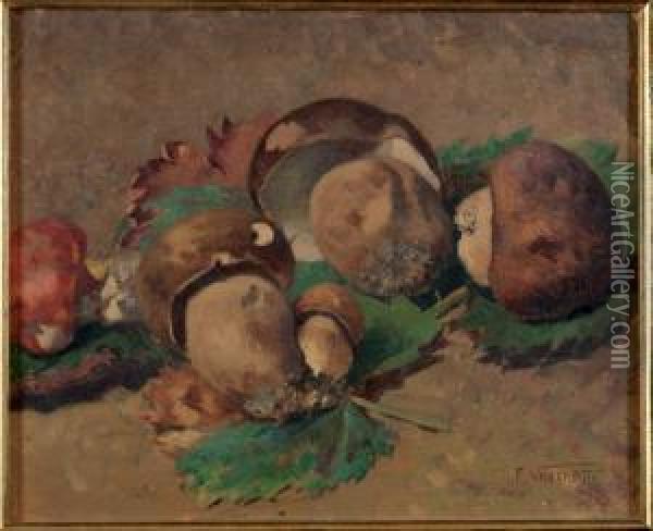 Natura Morta Con Funghi Oil Painting - Filippo Vacchetti