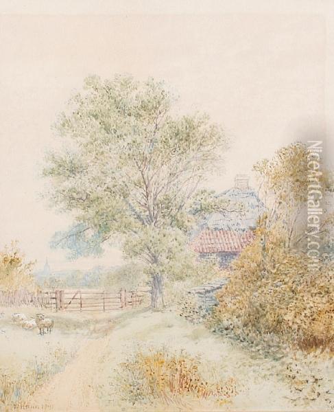 Country Landscape With Sheep Oil Painting - W Hann
