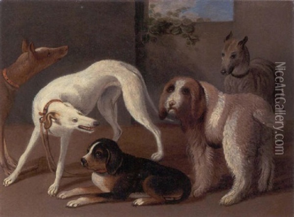 A Group Of Five Dogs Oil Painting - Jan van Kessel the Elder