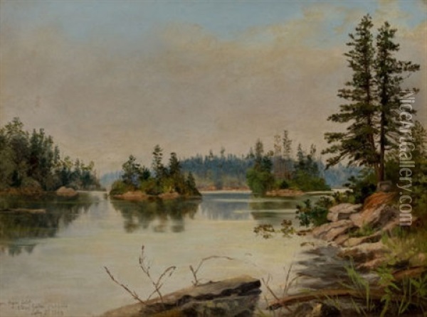 From Bare Island, Stony Lake, Ontario Oil Painting - Edward Roper