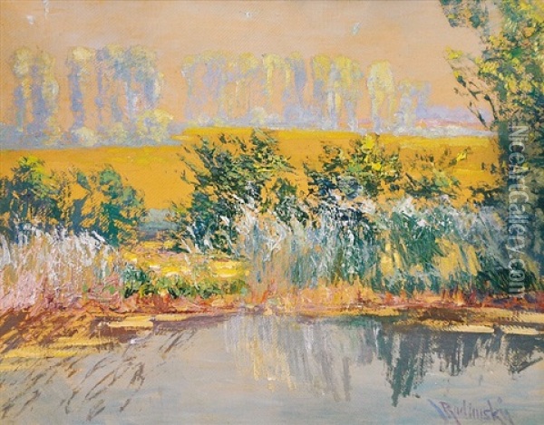 A Sunlit Riverbank Oil Painting - Vaclav Radimsky
