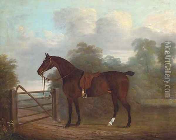 A saddled bay hunter tethered to a gate, in a wooded landscape Oil Painting - Clifton Tomson