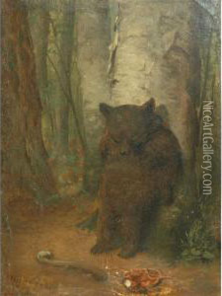The Bashful Bear Oil Painting - William Holbrook Beard