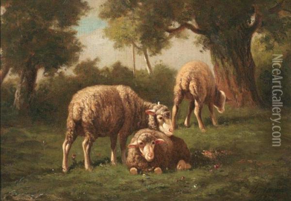 Moutons Au Paturage Oil Painting - Charles Ferdinand Ceramano