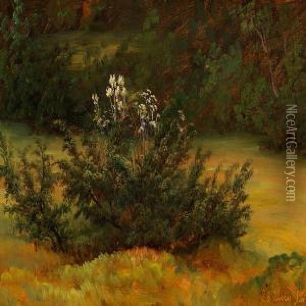 Study Of A Juniper Oil Painting - Johan Thomas Lundbye