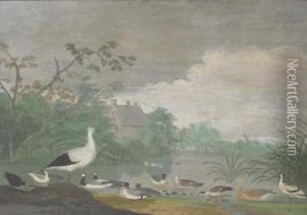 Geese, Ducks And Other Birds On A Pond With Houses In Thedistance Oil Painting - Pieter Withoos