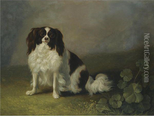 A King Charles Spaniel In A Landscape Oil Painting - Jacob Philipp Hackert