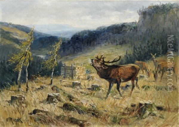 Rotwild Auf Einer Lichtung Im Erzgebirge Oil Painting - Emil Rieck