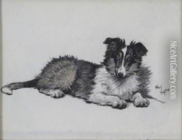 A Collie Dog Oil Painting - Cecil Charles Aldin