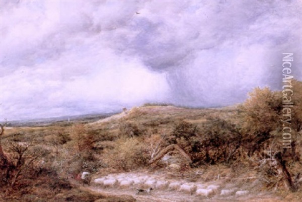 The Coming Storm Oil Painting - John Linnell