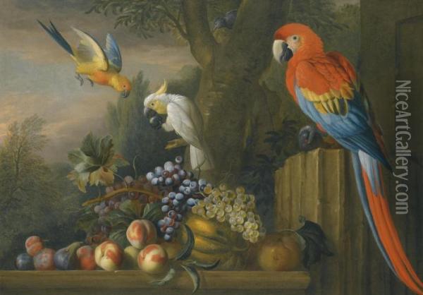 A Still Life With Fruit, Parrots And A Cockatoo Oil Painting - Jakob Bogdani Eperjes C