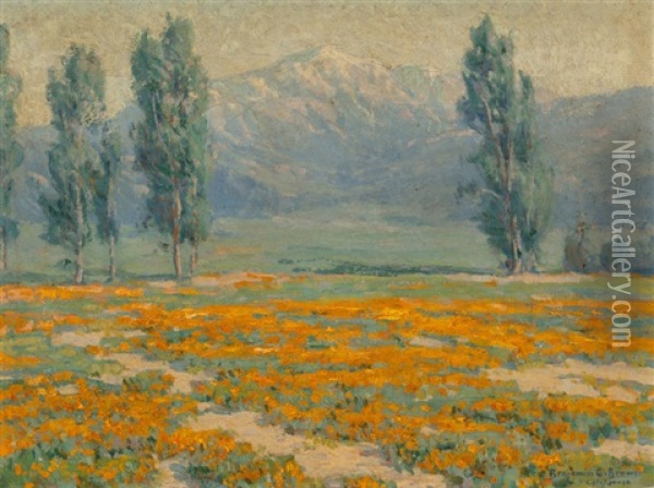 Golden Poppies Near Mount San Jacinto, California Oil Painting - Benjamin Chambers Brown