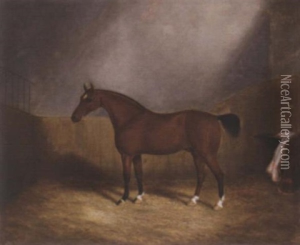 A Chestnut Hunter In A Stable Oil Painting - James Clark