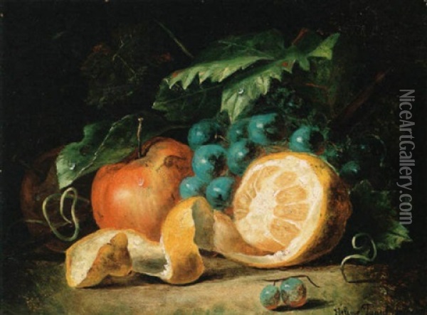 Fruit Still Life Oil Painting - Helen Hamburger