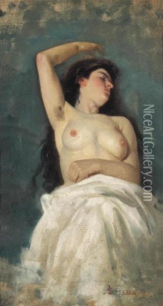 Young Woman With Naked Torso Oil Painting - Luigi Serena