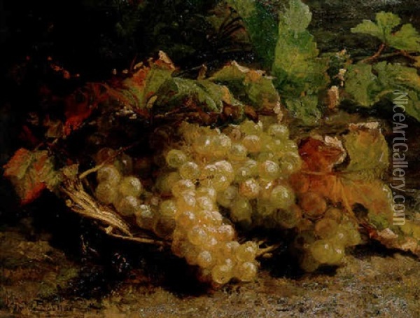 Autumn Treasures: Grapes In A Wicker Basket Oil Painting - Gerardina Jacoba van de Sande Bakhuyzen