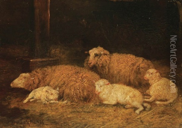 Sheep And Lambs At Rest Oil Painting - Dirk Van Lokhorst