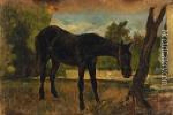 Cavallo Legatoall'albero Oil Painting - Ruggero Panerai